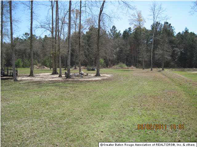 15348 East Ridge Drive Walker, LA 70785 - Photo 2 of 6