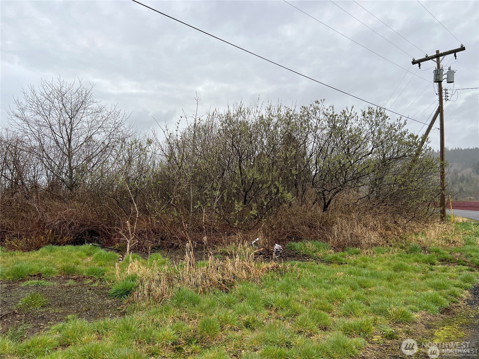 2361 Evergreen Park Road Grayland, WA 98547 - Photo 4 of 6