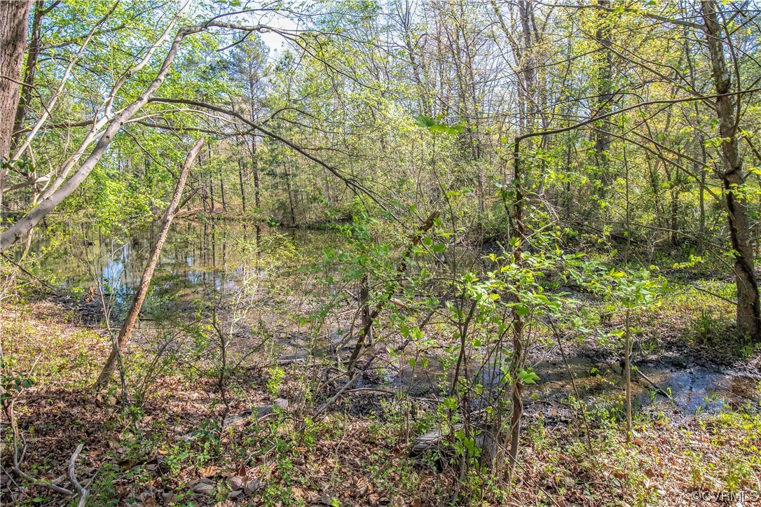 811 Turner Road Richmond, VA 23225 - Photo 20 of 24 View of next door pond.