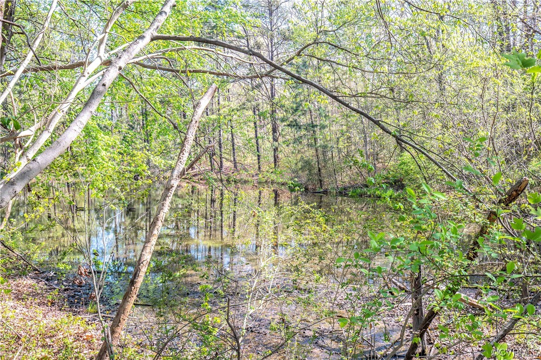811 Turner Road Richmond, VA 23225 - Photo 21 of 24 View of next door pond.