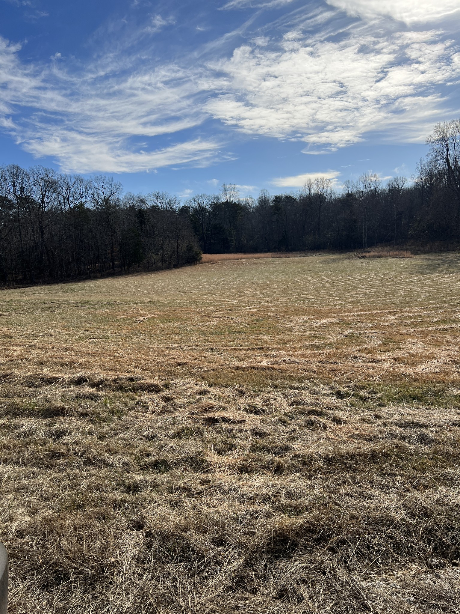 1024 Porter Road Burns, TN 37029 - Photo 16 of 23 a view of an ocean