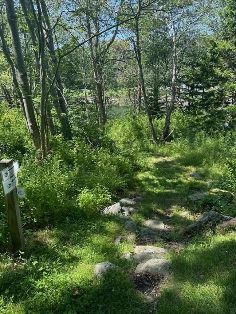 5 Wallace Circle Phippsburg, ME 04562 - Photo 45 of 50 IMG_5544