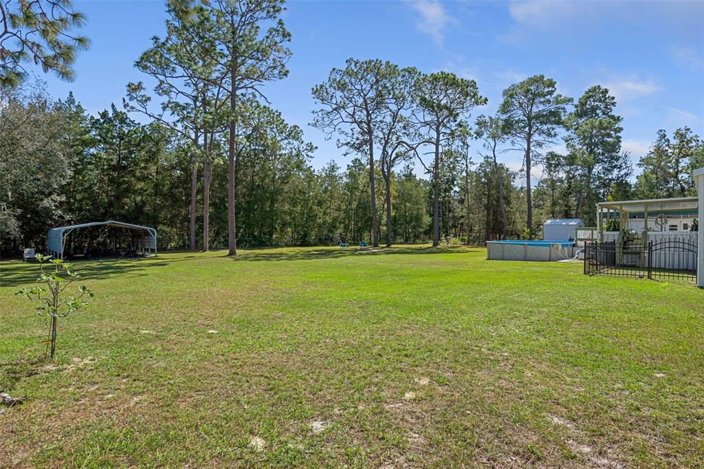4641 South Slash Pine Avenue Homosassa, FL 34446 - Photo 47 of 49