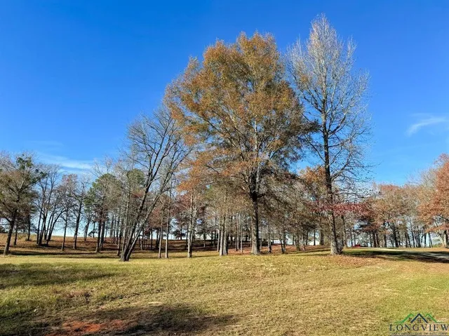 $749,900 | 9791 Farm To Market 251, Bivins, TX 75555