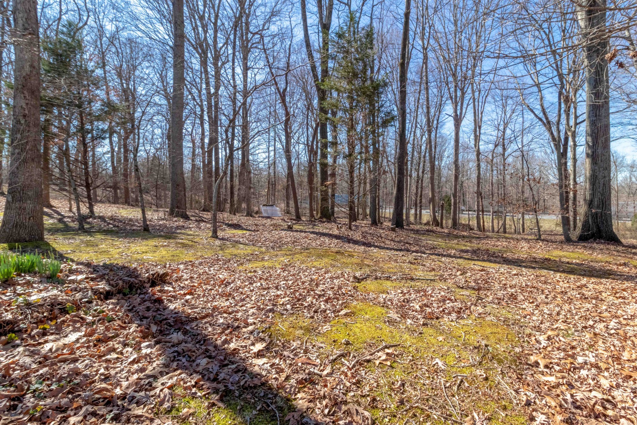 4316 Memory Lane Adams, TN 37010 - Photo 44 of 45 a view of house with yard and trees