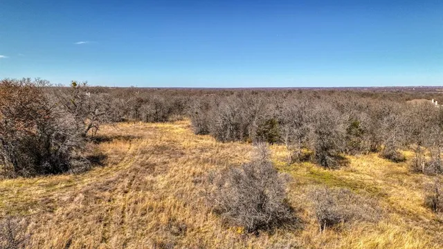 a view of a dry yard with trees