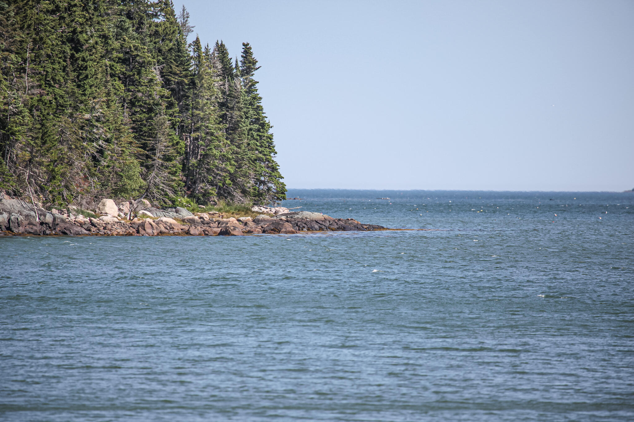 82 Ocean View Road Jonesboro, ME 04648 - Photo 21 of 77 IMG_6633