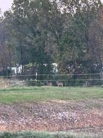 $574,980 | W1235 County Rd X, Berlin, WI 54923