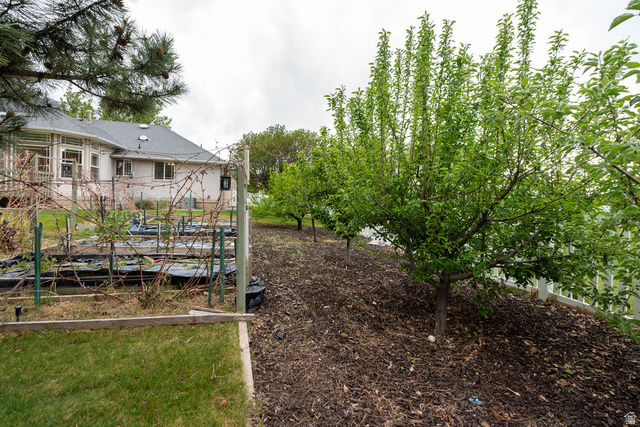 875 East 1300th Street North Mapleton, UT 84664 - Photo 58 of 65 View of yard