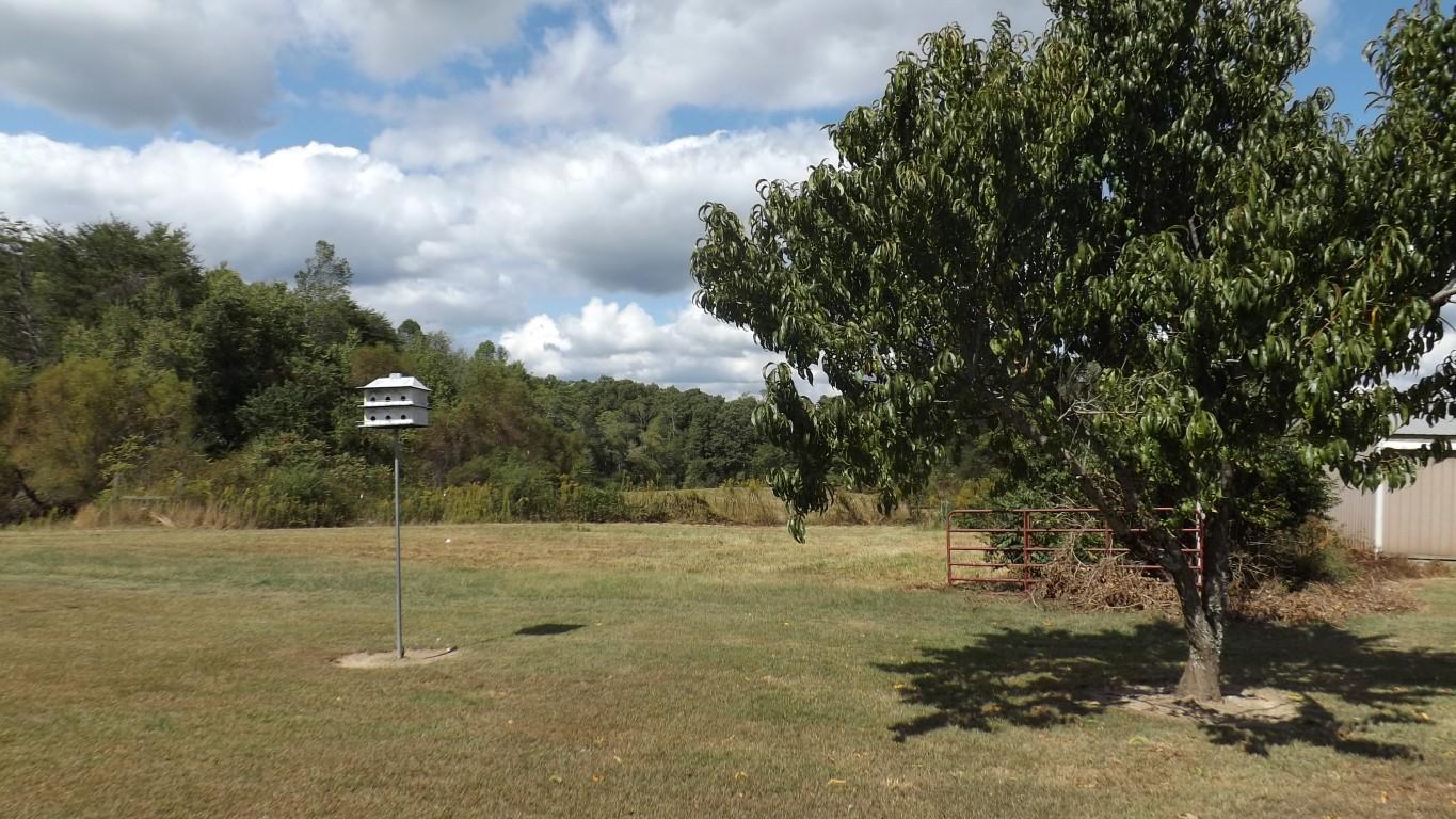 2231 Leffle Webb Road Crossville, TN 38572 - Photo 17 of 45 2231 Leffle Webb Road 009 (Medium)