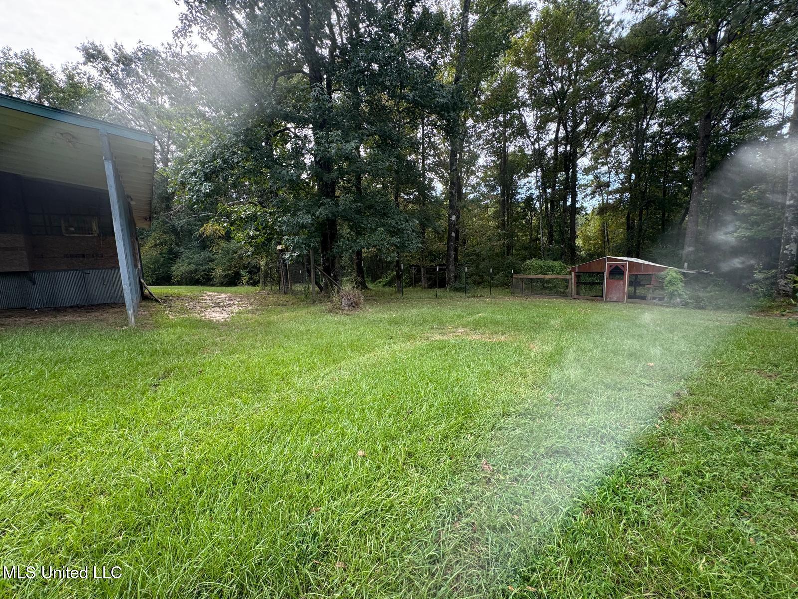 149 Star-Braxton Road Braxton, MS 39044 - Photo 16 of 23 WhatsApp Image 2025-09-05 at 16.19.51_a7