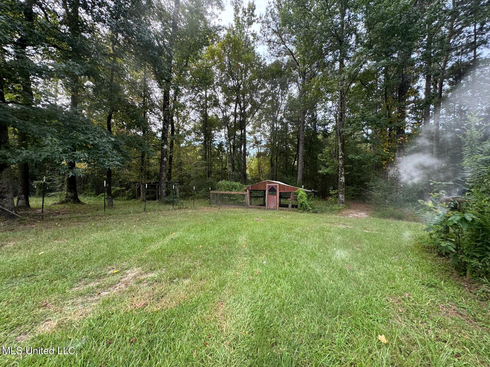 149 Star-Braxton Road Braxton, MS 39044 - Photo 17 of 23 WhatsApp Image 2025-09-05 at 16.19.51_cb