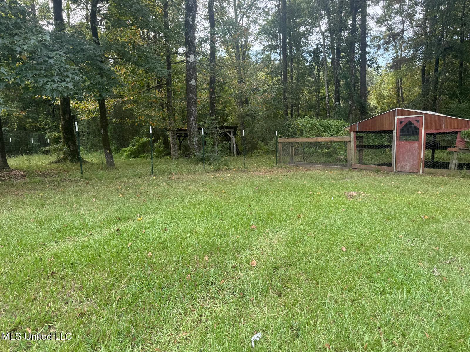 149 Star-Braxton Road Braxton, MS 39044 - Photo 18 of 23 WhatsApp Image 2025-09-05 at 16.19.51_c7