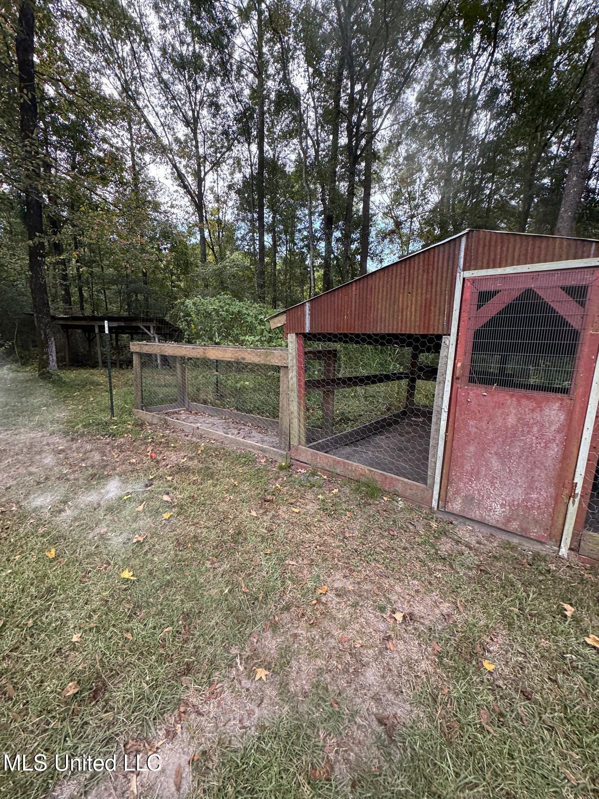 149 Star-Braxton Road Braxton, MS 39044 - Photo 19 of 23 WhatsApp Image 2025-09-05 at 16.21.25_88