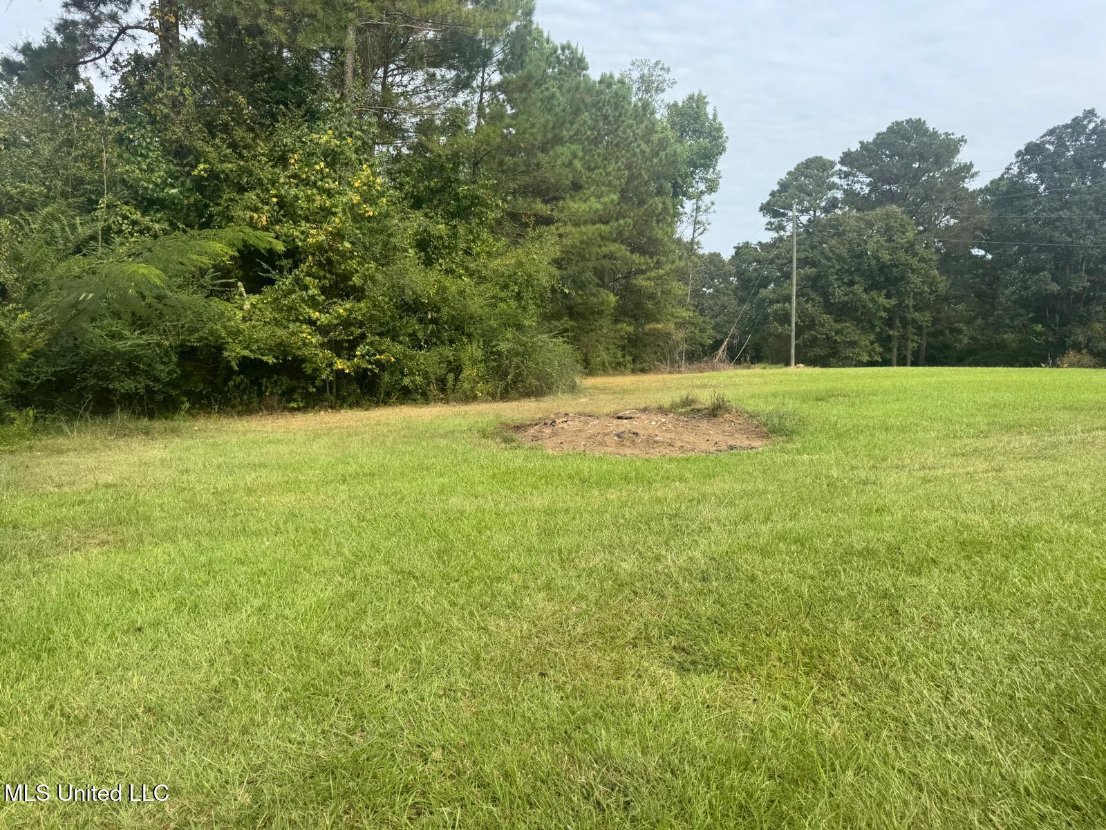 149 Star-Braxton Road Braxton, MS 39044 - Photo 21 of 23 WhatsApp Image 2025-09-05 at 16.20.13_51