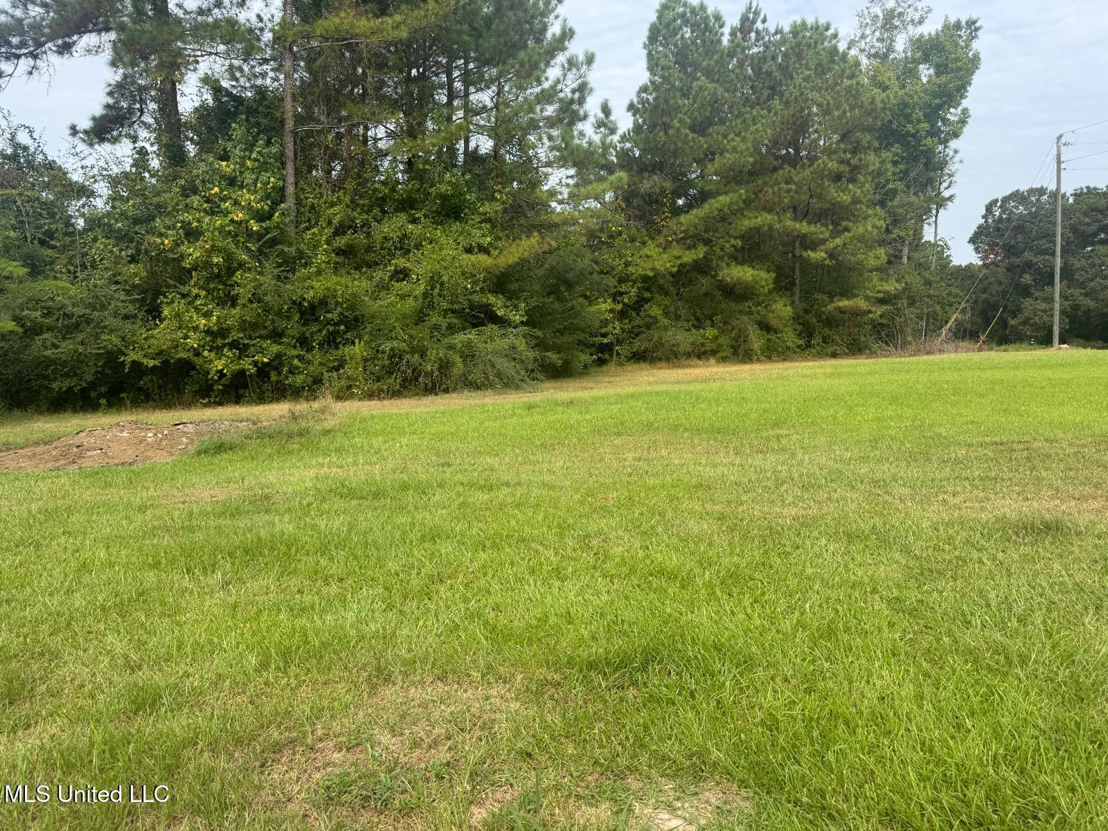 149 Star-Braxton Road Braxton, MS 39044 - Photo 23 of 23 WhatsApp Image 2025-09-05 at 16.20.13_d0