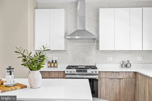 a kitchen with a potted plant on the counter and cabinets