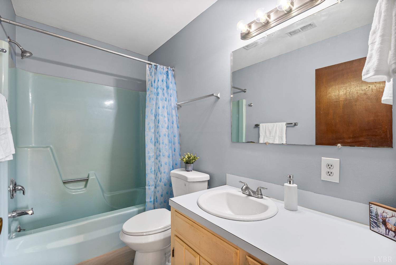 794 Little Dogwood Road Spout Spring, VA 24593 - Photo 16 of 54 a bathroom with a sink a toilet and shower