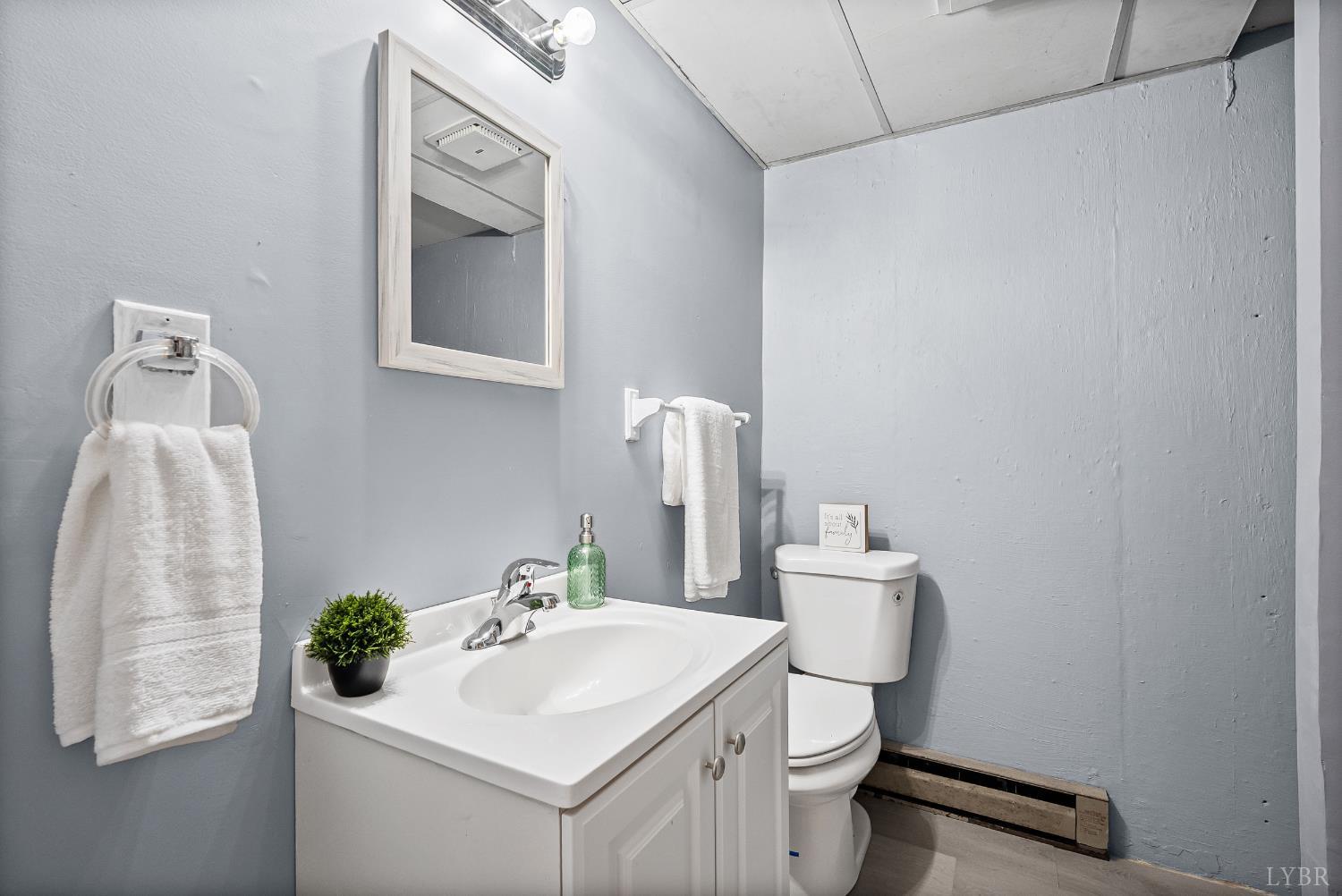 794 Little Dogwood Road Spout Spring, VA 24593 - Photo 29 of 54 a bathroom with a sink a toilet and mirror