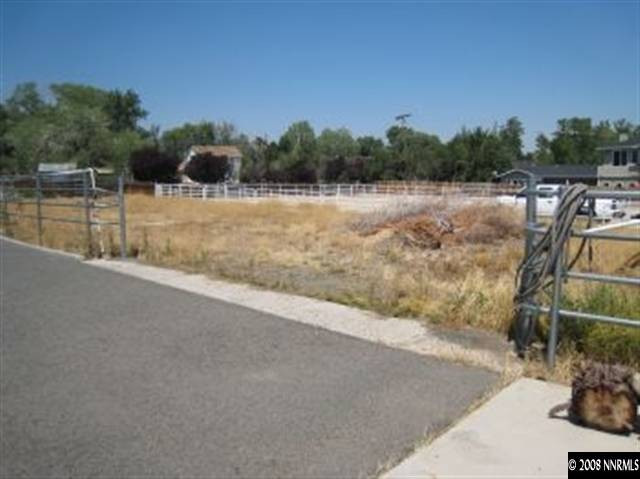752 Zolezzi Lane Reno, NV 89511 - Photo 3 of 3 a view of a yard and trees