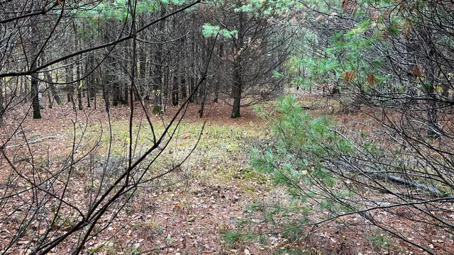 $120,000 | 80 Kelley Lane, Limerick, ME 04048