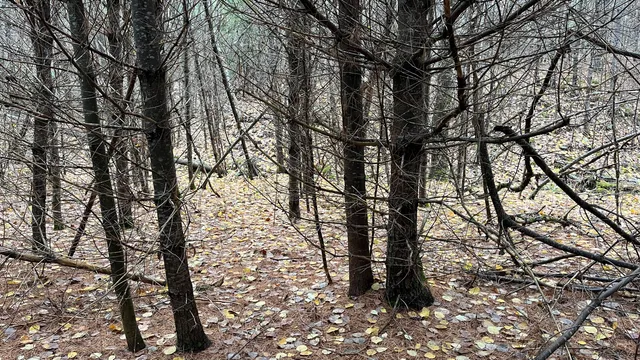 $120,000 | 80 Kelley Lane, Limerick, ME 04048