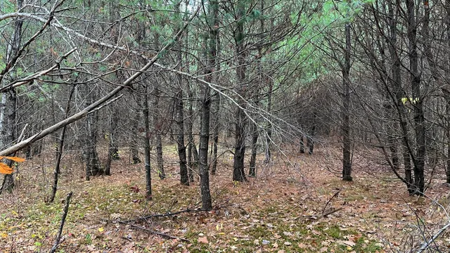 $120,000 | 80 Kelley Lane, Limerick, ME 04048