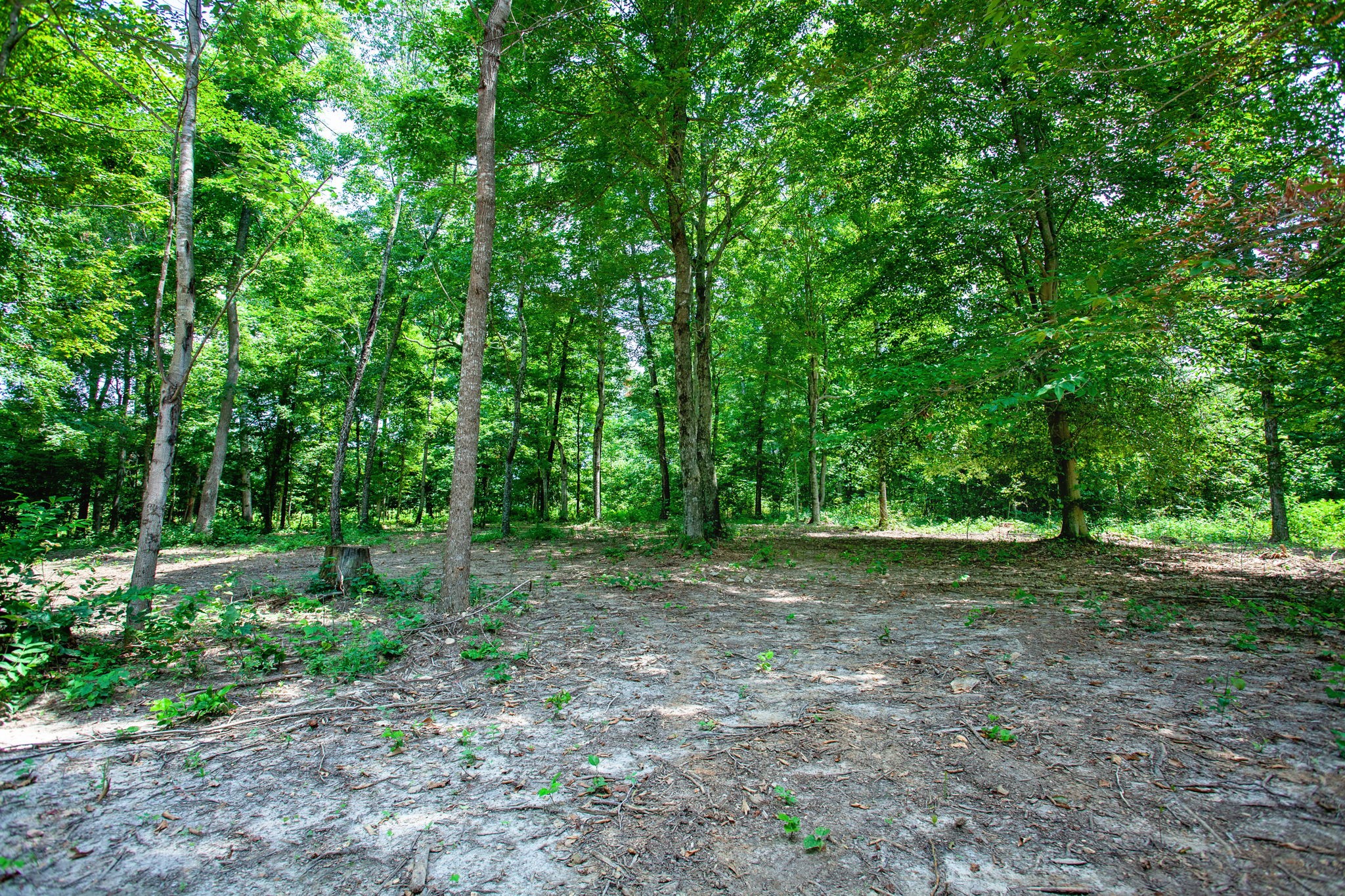 743 Steele Road Charlotte, TN 37036 - Photo 13 of 15 Gallery Image 13