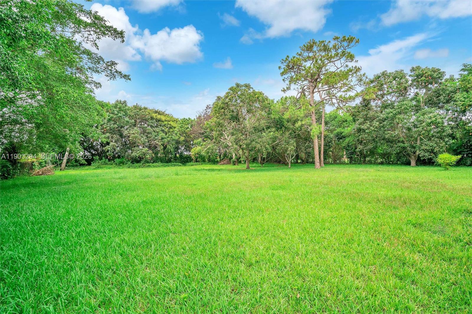 11476 Sundance Lane Boca Raton, FL 33428 - Photo 5 of 45 a view of a garden with a tree