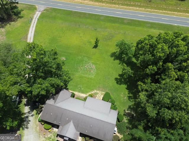 a view of a trees in a yard