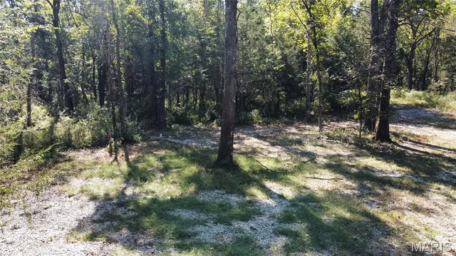 $160,000 | 44705 Willow Lane, Monroe City, MO 63456