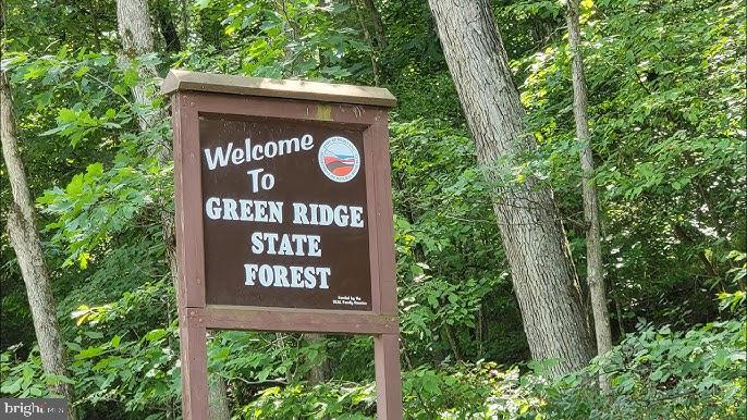 22704 Oldtown Road Southeast Oldtown, MD 21555 - Photo 14 of 15 a sign broad in front of the red tree