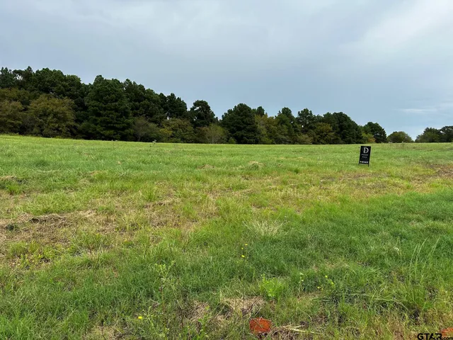 a view of a field of grass and trees