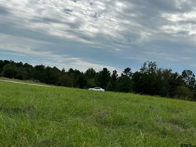 a view of grassy field with trees