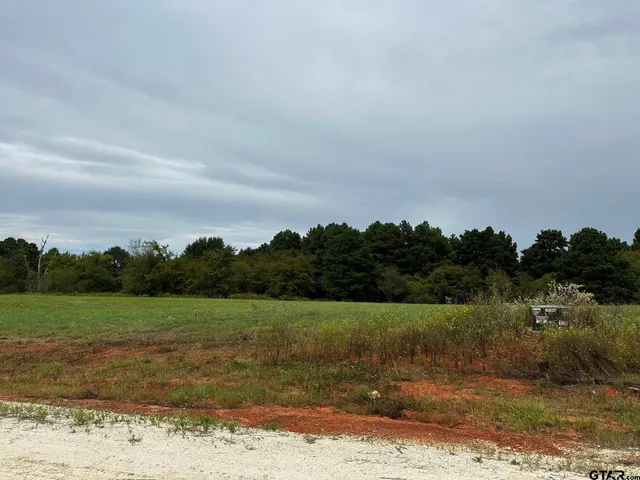 a view of a field with a tree in the background
