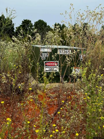 a view of outdoor space with signage and flags
