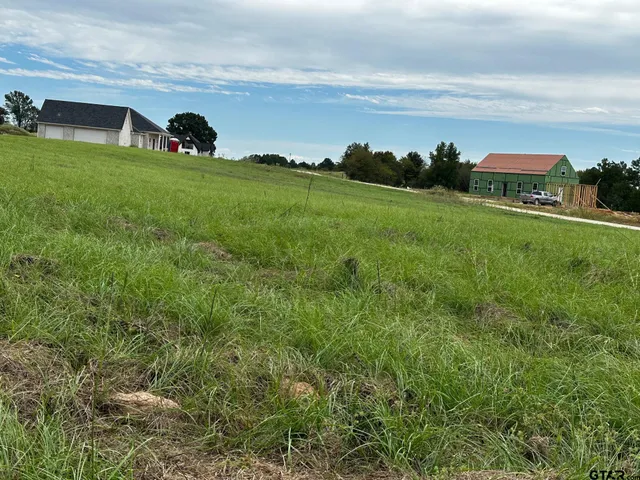 a view of a backyard with plants and a garden