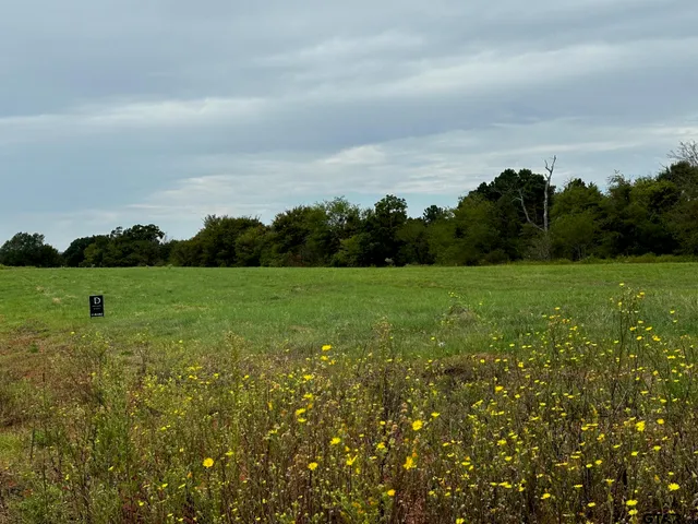 a view of a field with an ocean