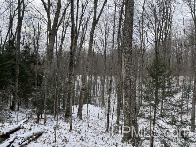 545 South Rd Skandia Mi 49885 Road Skandia, MI 49885 - Photo 6 of 38