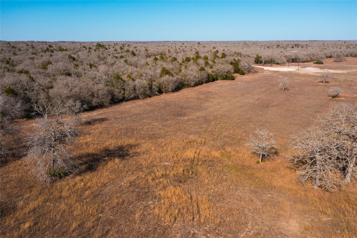 Lot 18 Oakview Lane Thrall, TX 76578 - Photo 7 of 7 a view of a dry yard