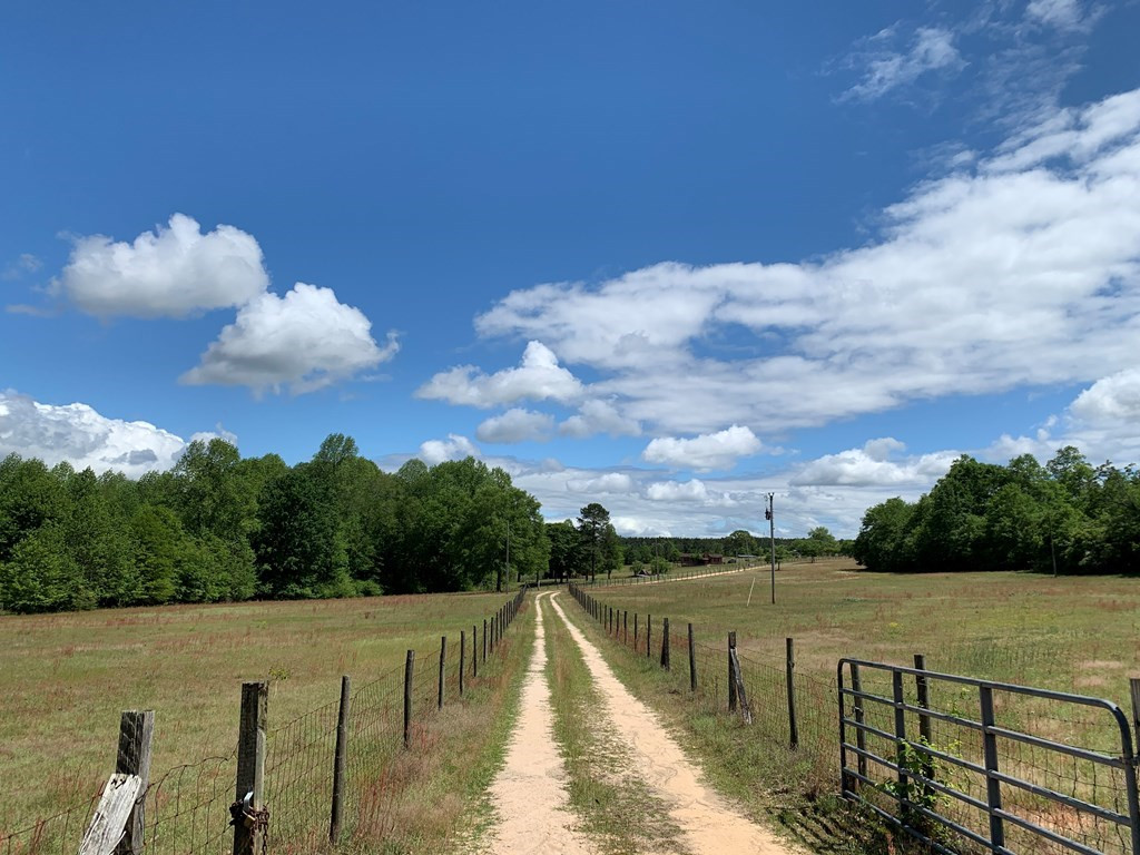 717 Redds Branch Road Aiken, SC 29801 - Photo 13 of 71