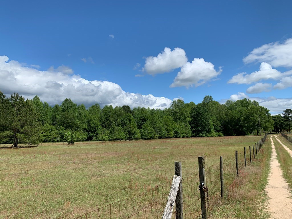 717 Redds Branch Road Aiken, SC 29801 - Photo 14 of 71