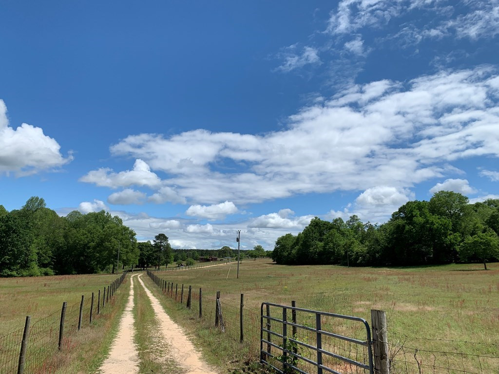 717 Redds Branch Road Aiken, SC 29801 - Photo 15 of 71