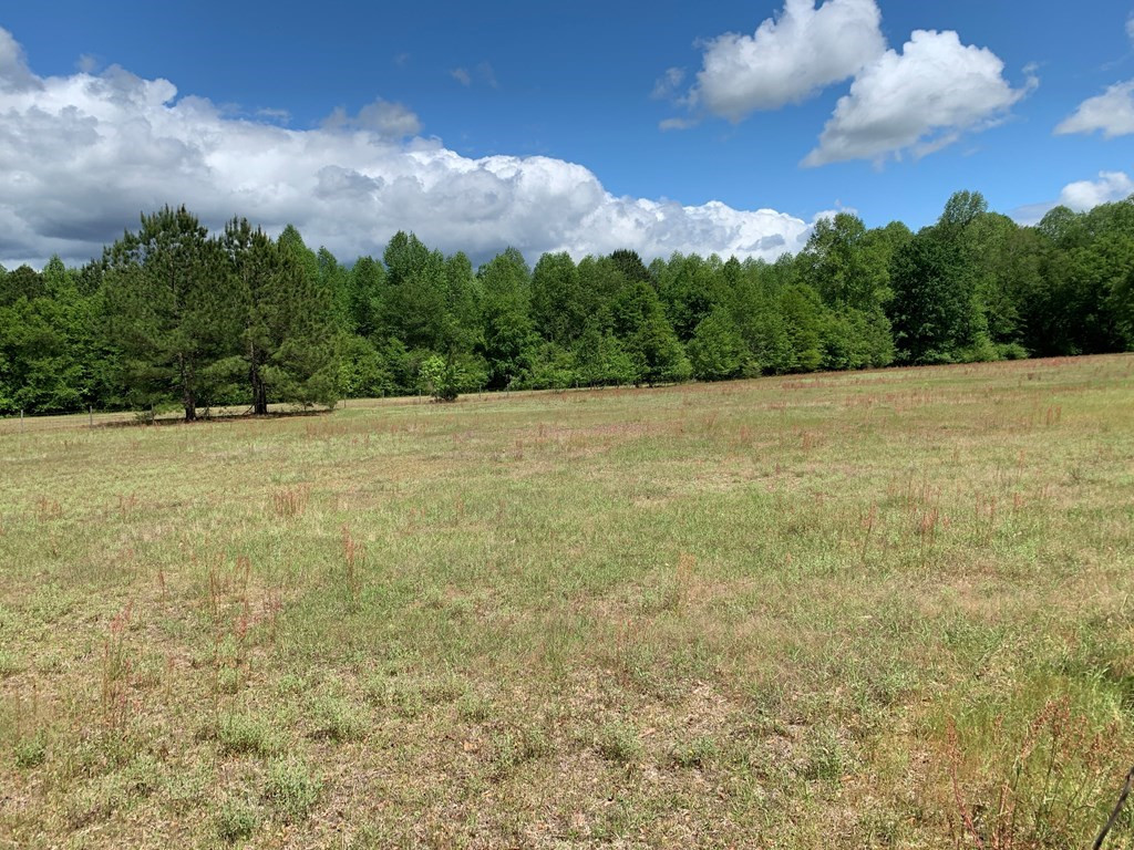 717 Redds Branch Road Aiken, SC 29801 - Photo 16 of 71