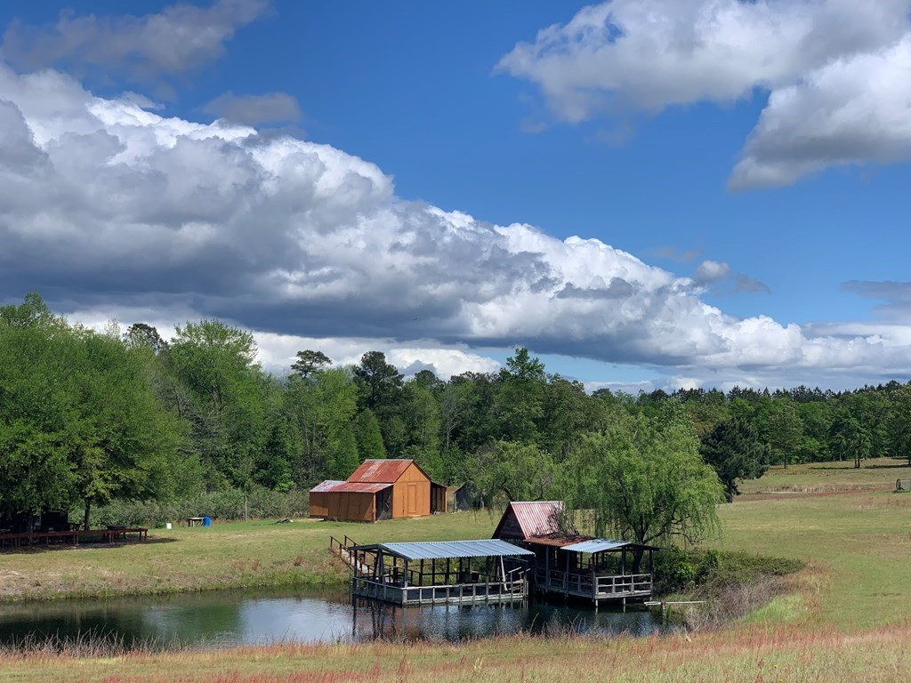 717 Redds Branch Road Aiken, SC 29801 - Photo 17 of 71