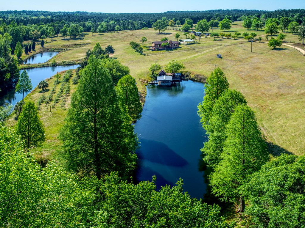 717 Redds Branch Road Aiken, SC 29801 - Photo 2 of 71