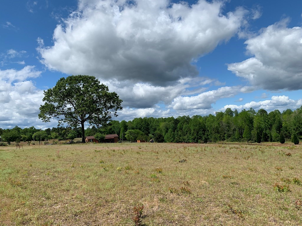 717 Redds Branch Road Aiken, SC 29801 - Photo 23 of 71