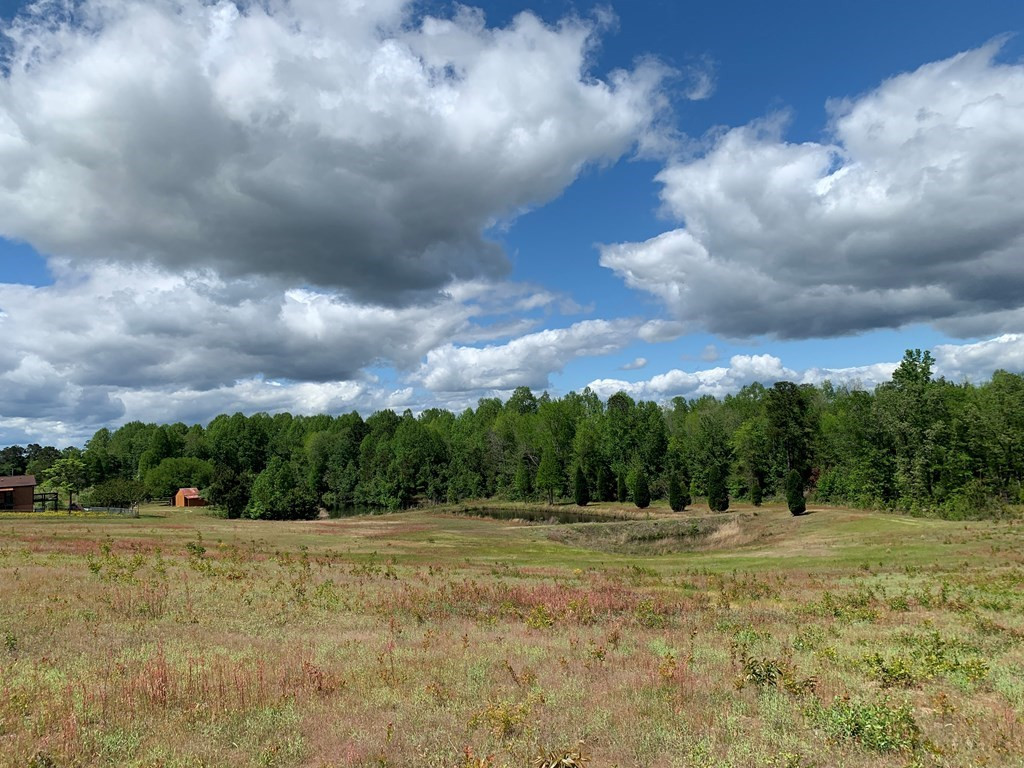717 Redds Branch Road Aiken, SC 29801 - Photo 24 of 71