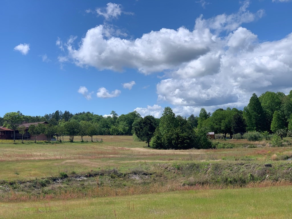 717 Redds Branch Road Aiken, SC 29801 - Photo 25 of 71