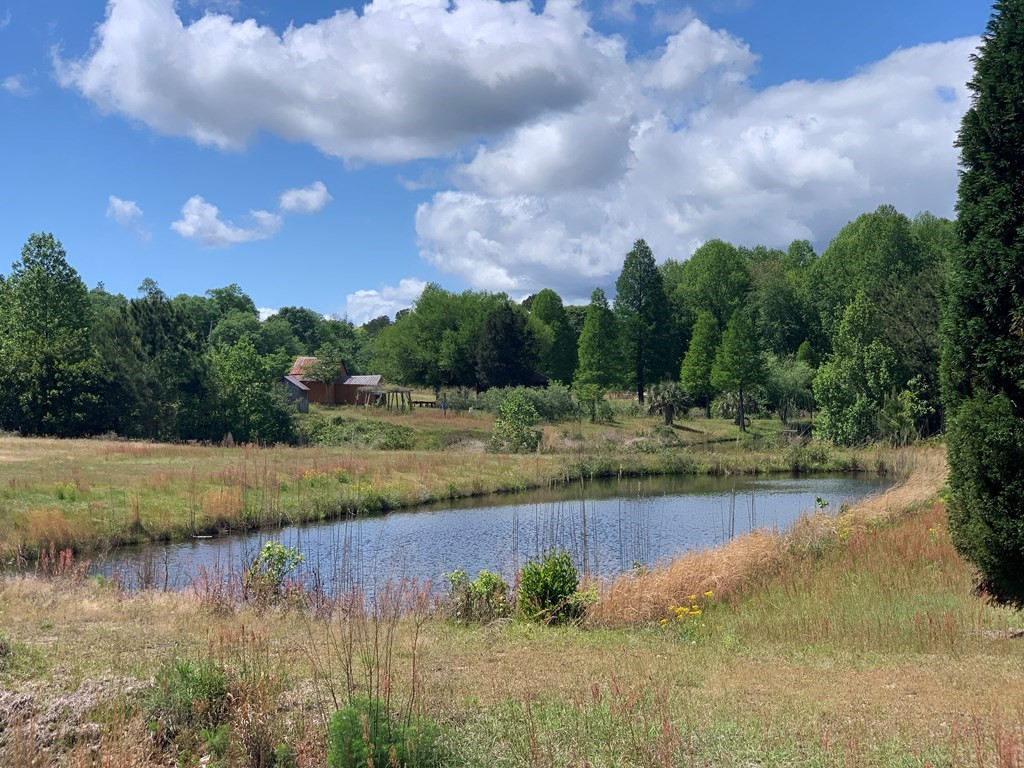 717 Redds Branch Road Aiken, SC 29801 - Photo 28 of 71